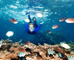 Activity_Snorkeling.4