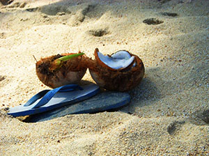 Sandals-Coconut-beach-small